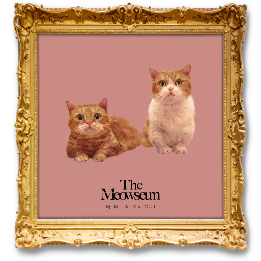 The Meowseum